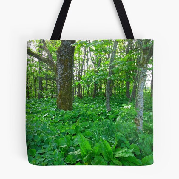 Item preview, Wooded Area - Lews Castle Grounds designed and sold by BlueMoonRose.