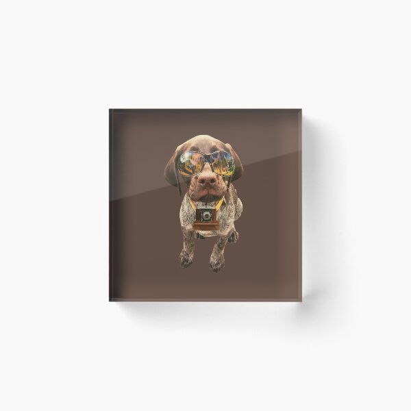 Item preview, News partner dog wearing sunglasses and camera on dark brown background designed and sold by Amalzaki.