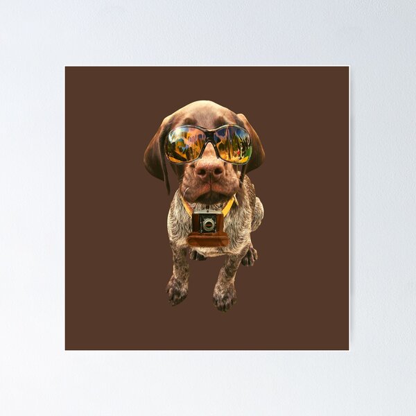 Item preview, News partner dog wearing sunglasses and camera on dark brown background designed and sold by Amalzaki.