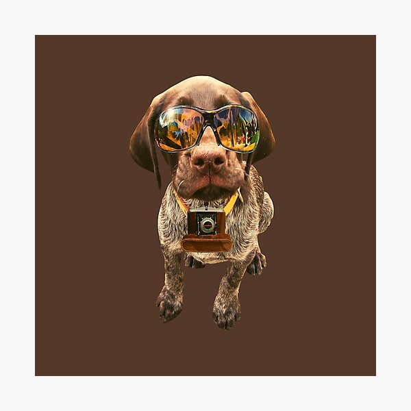 Item preview, News partner dog wearing sunglasses and camera on dark brown background designed and sold by Amalzaki.