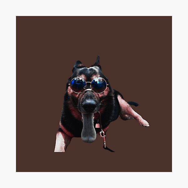 Item preview, Cool German Shepherd Dog wearing sunglasses on brown background designed and sold by Amalzaki.