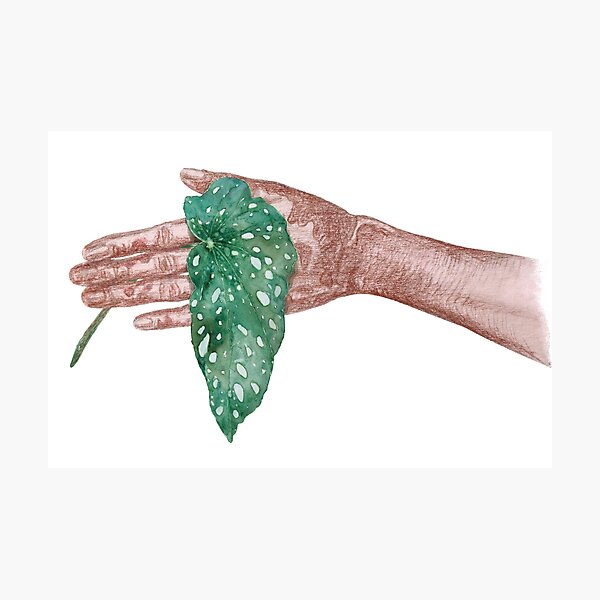 Artikelvorschau, Eine Hand mit einem Blatt entworfen und verkauft von SpottedPilot.