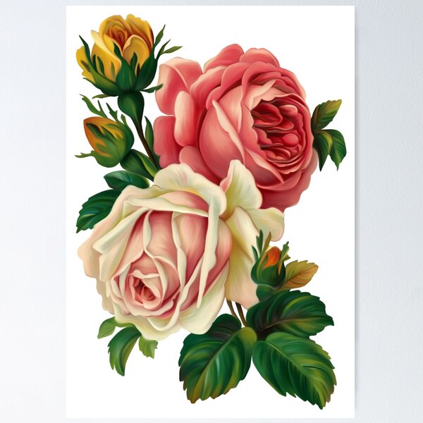 Item preview, Roses are versatile flowers.. Pink and white roses illustration. designed and sold by Senior-Kuzmin.