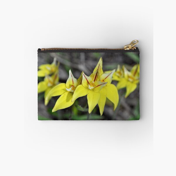 Item preview, Cow Slip Orchids Busselton W.A. designed and sold by Rainbow Farm Photography.