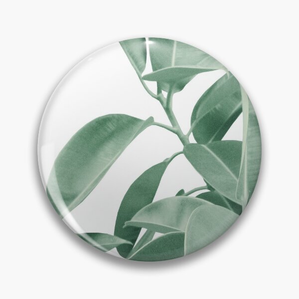 Item preview, Ficus Elastica Soft Green Glam #1 #tropical #decor #art  designed and sold by Anita's & Bella's Art.