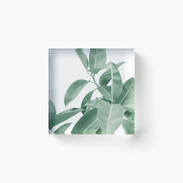 Item preview, Ficus Elastica Soft Green Glam #1 #tropical #decor #art  designed and sold by Anita's & Bella's Art.