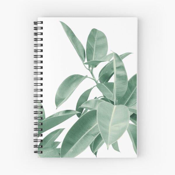 Item preview, Ficus Elastica Soft Green Glam #1 #tropical #decor #art  designed and sold by Anita's & Bella's Art.