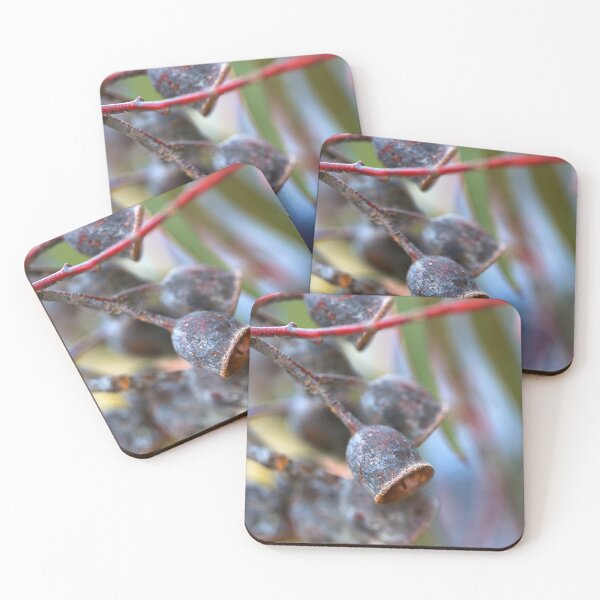 Item preview, Mature Gumnuts Brown designed and sold by Joy Watson - Natural Light Photography .