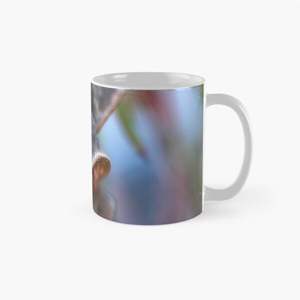 Item preview, Mature Gumnuts Brown designed and sold by Joy Watson - Natural Light Photography .