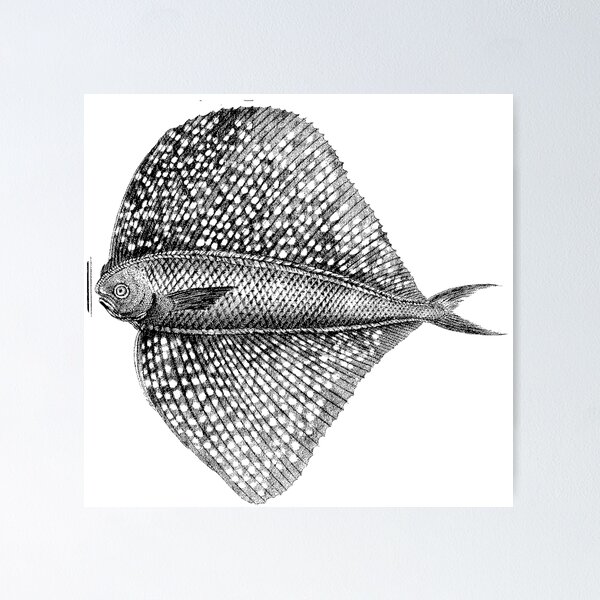 Item preview, Aerofish  designed and sold by Quill-n-Ink.