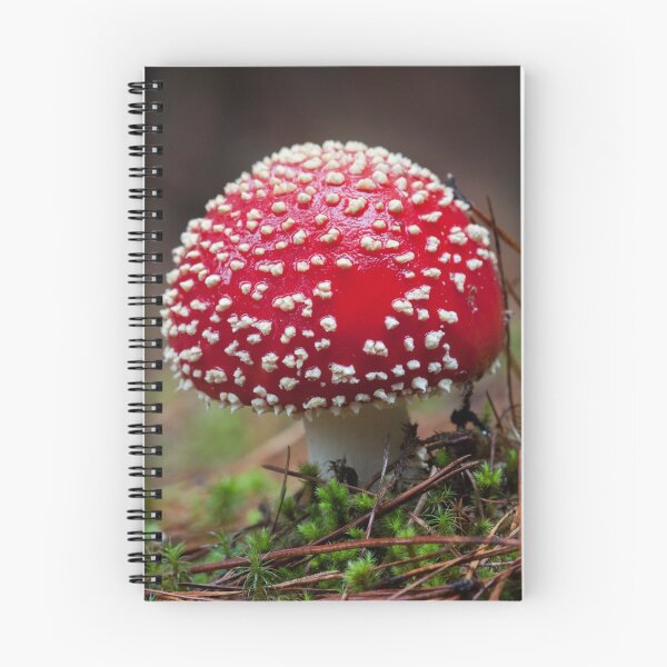 Item preview, ~ Toadstool ~ designed and sold by Leeo.