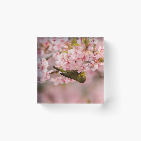 Item preview, Spring in Tokyo designed and sold by Katharina Weilnböck.