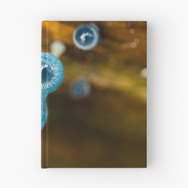 Item preview, ~ Eye Spy ~ designed and sold by Leeo.
