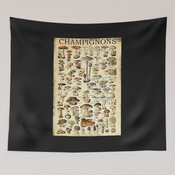 Item preview, Kind Of Champignons Poster designed and sold by DaleSwart.