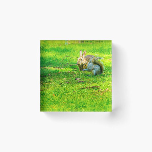 Item preview, Me and my Pal Bunnykins designed and sold by Dalyndigital Photography.