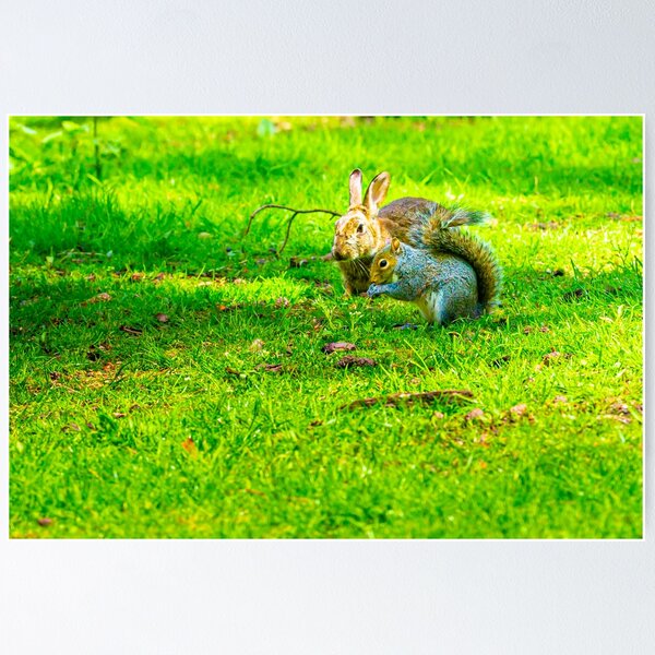 Item preview, Me and my Pal Bunnykins designed and sold by Dalyndigital Photography.