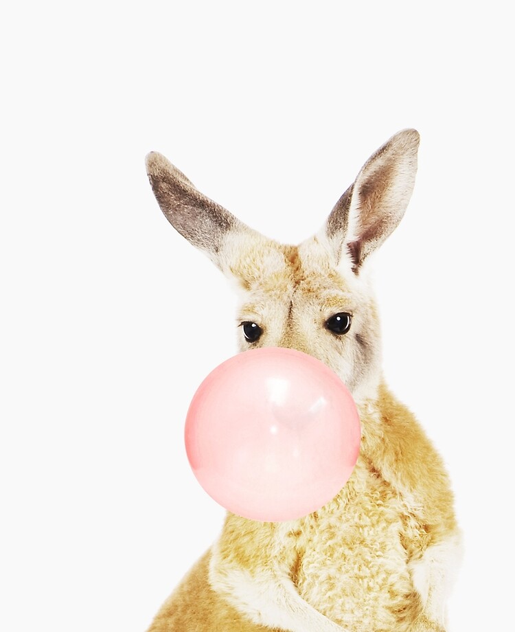 animal bubble gum