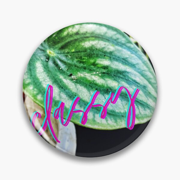 Item preview, Classy peperomia designed and sold by Chelle478.