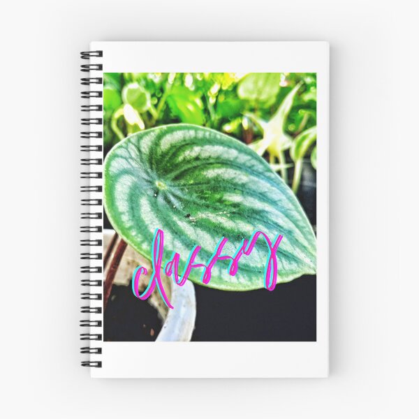 Item preview, Classy peperomia designed and sold by Chelle478.