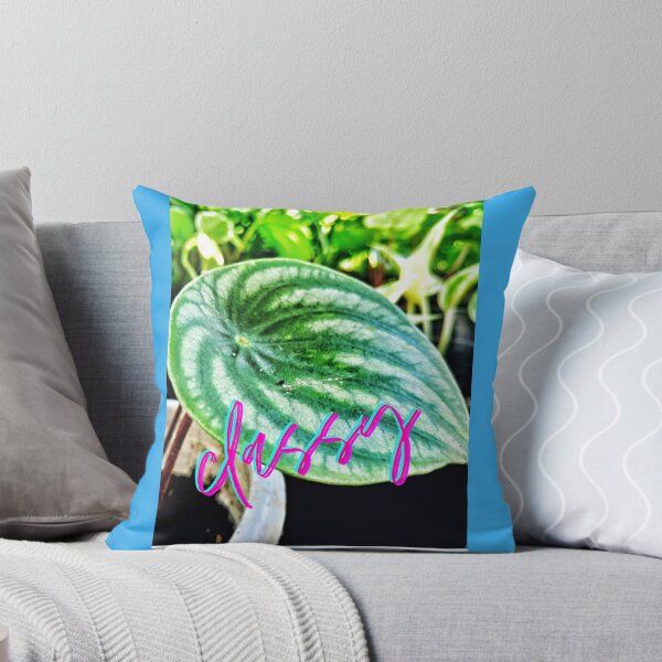 Item preview, Classy peperomia designed and sold by Chelle478.
