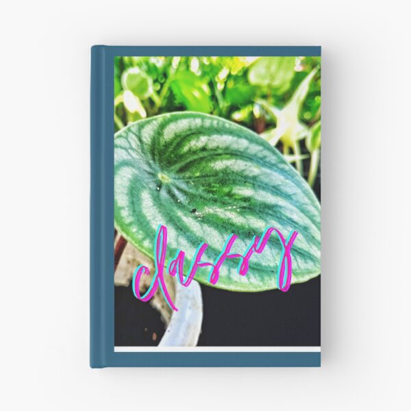 Item preview, Classy peperomia designed and sold by Chelle478.
