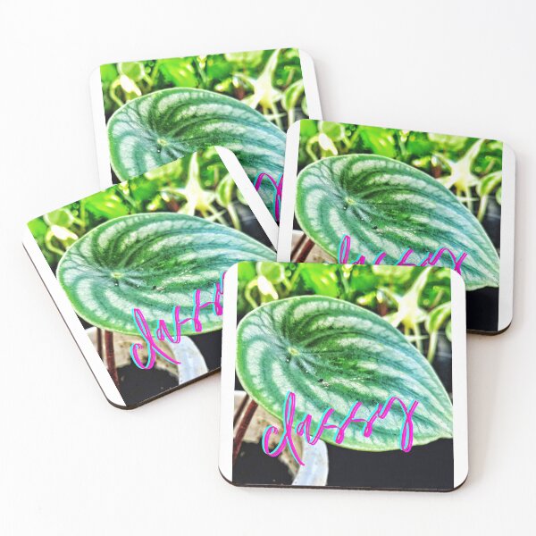Item preview, Classy peperomia designed and sold by Chelle478.