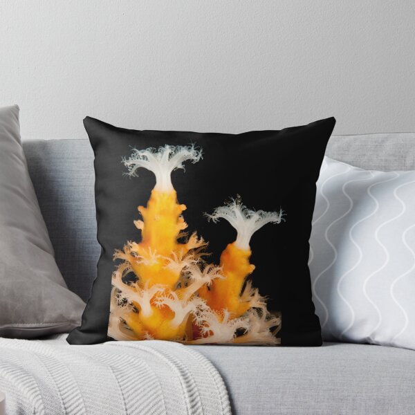 Item preview, Soft coral polyps, Port Hacking, Sydney designed and sold by Erik Schlogl.