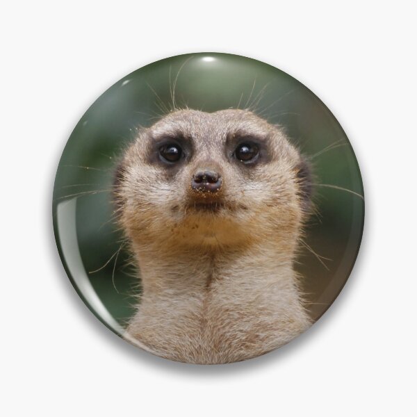 Item preview, Meerkat 001 designed and sold by JAMFoto.