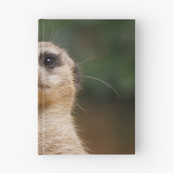 Item preview, Meerkat 001 designed and sold by JAMFoto.