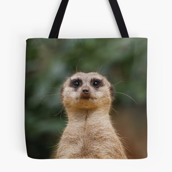 Item preview, Meerkat 001 designed and sold by JAMFoto.