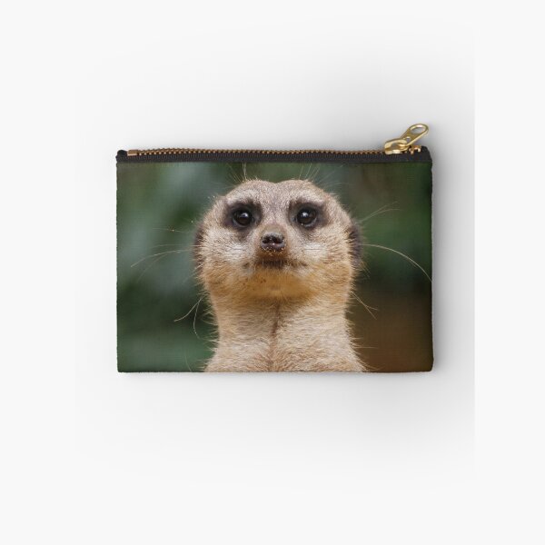 Item preview, Meerkat 001 designed and sold by JAMFoto.
