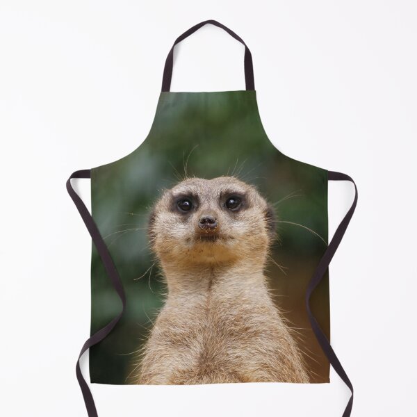 Item preview, Meerkat 001 designed and sold by JAMFoto.