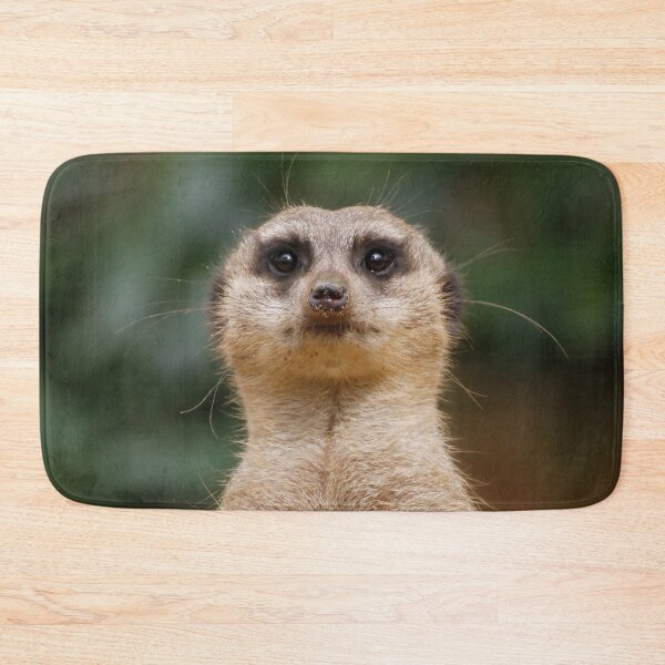 Item preview, Meerkat 001 designed and sold by JAMFoto.