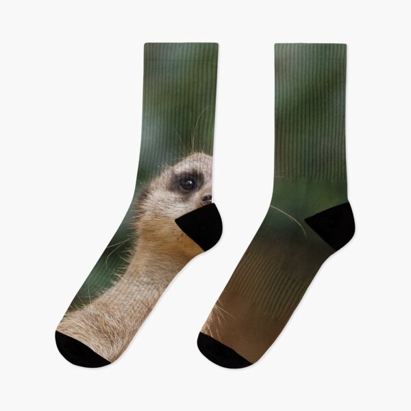 Item preview, Meerkat 001 designed and sold by JAMFoto.