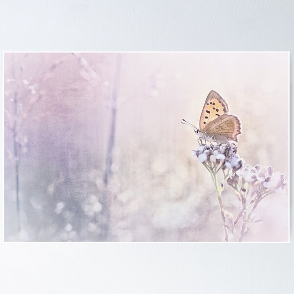 Item preview, Dream a little dream you little dreamer... designed and sold by Bob Daalder Photography.