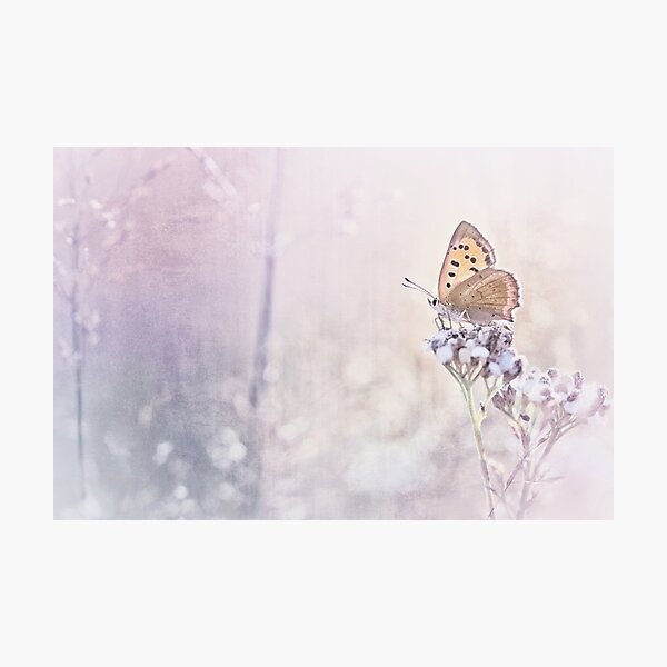 Item preview, Dream a little dream you little dreamer... designed and sold by Bob Daalder Photography.