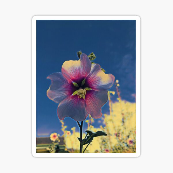 Cottage Garden Flower - Three Sticker