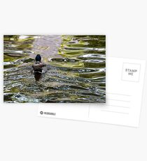 Meandering through the ripples, Bolzano/Bozen, Italy Postcards