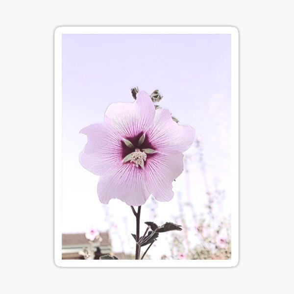 Cottage Garden Flower - Eight Sticker