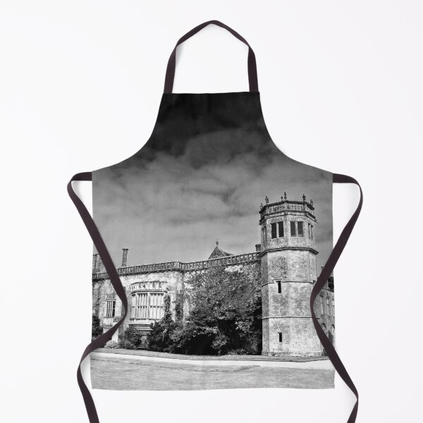 Item preview, Lacock Abbey Wiltshire England UK designed and sold by AndyEvansPhotos.