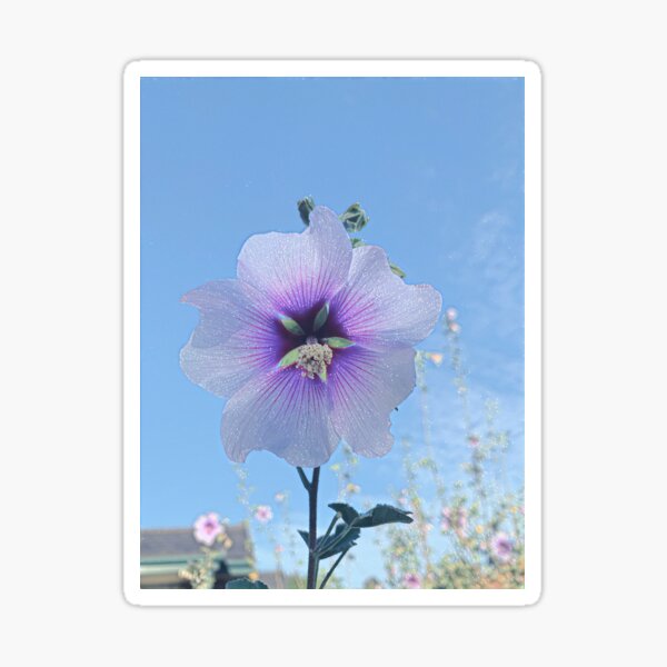 Cottage Garden Flower - Ten Sticker