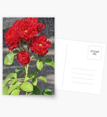 Sprinkler shower, Bolzano/Bozen, Italy Postcards