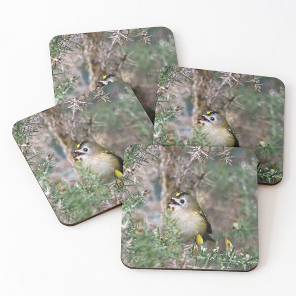 Item preview, Singing goldcrest designed and sold by GreyFeatherPhot.