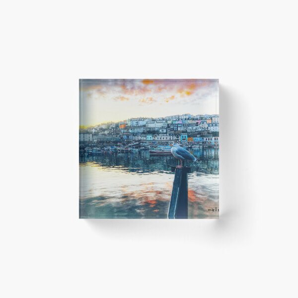 Item preview, Brixham Harbour Seagull by My Brixham designed and sold by mybrixham.