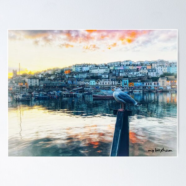 Item preview, Brixham Harbour Seagull by My Brixham designed and sold by mybrixham.