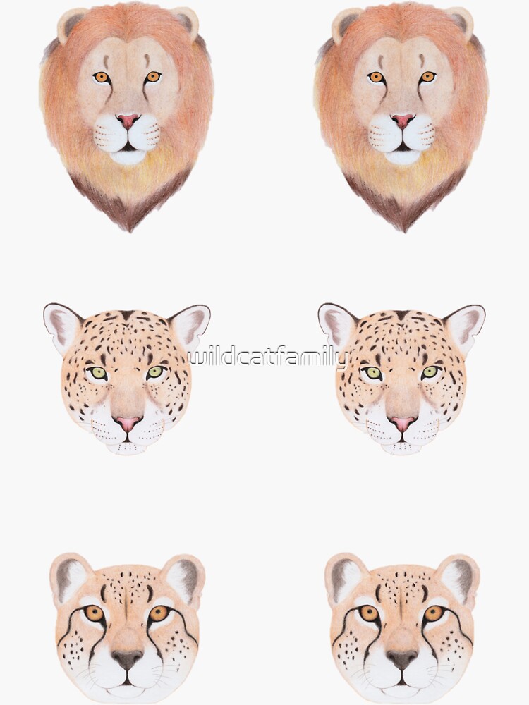 African Big Cats - Lion, Leopard and Cheetah by wildcatfamily