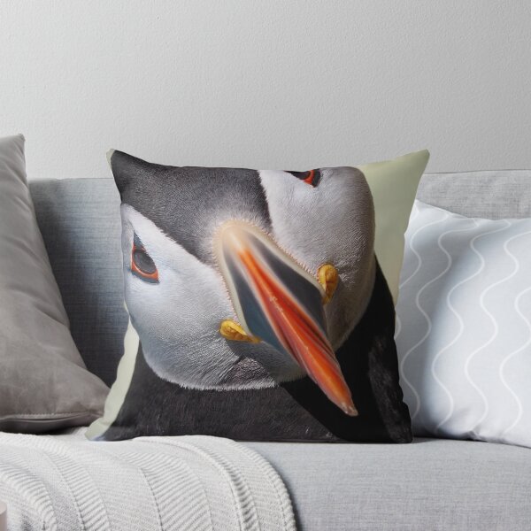 Item preview, An inquisitive puffin at Cantick Head Lighthouse on Hoy designed and sold by Alan Mackinnon.