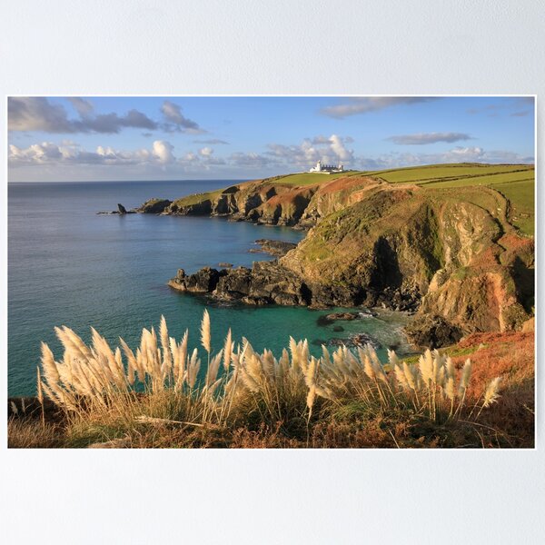 Item preview, Pampus Grass at Housel Bay designed and sold by bitm2007.