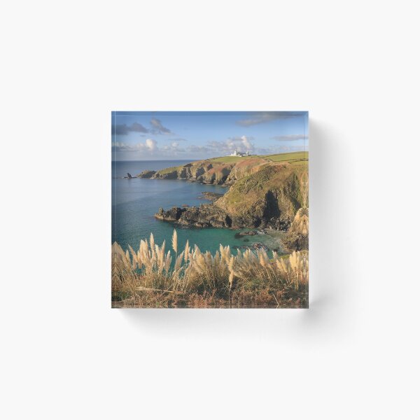 Item preview, Pampus Grass at Housel Bay designed and sold by bitm2007.