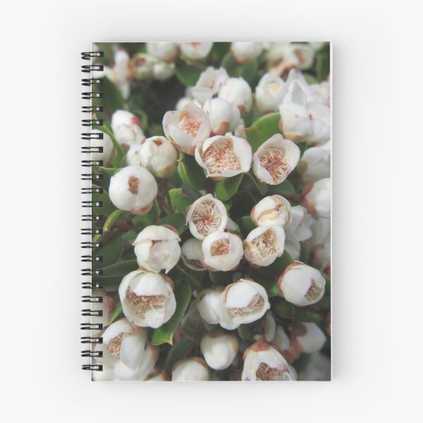 Item preview, Unknown White Flowering Shrub designed and sold by lezvee.